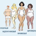 Типы телосложения человека:Почему не получается похудеть?