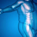 Физиотерапия при ожирении: Эффективные водные методики.
